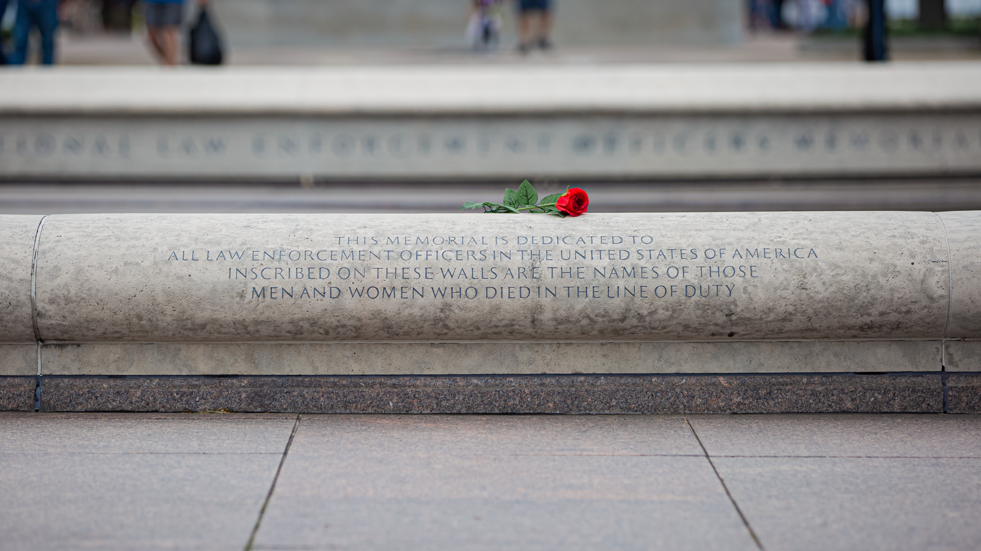 52101830599 76aed1b4d3 O 63c1cccfccdc2