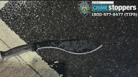 Man with Machete Attacks 3 NYPD Officers in Times Square Officer