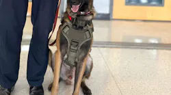 Tilin, a K-9 officer with the Pharr-San Juan-Alamo, TX, Independent School District Police Department.