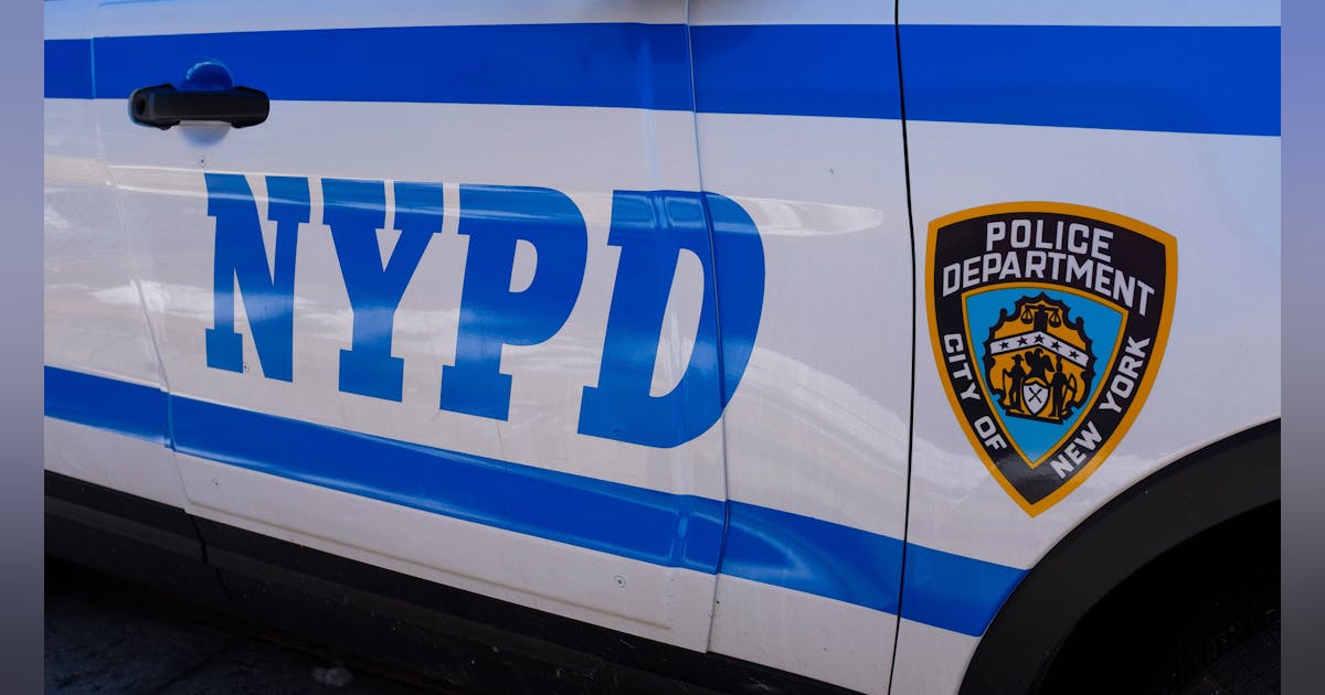 Vandal who Slashed NYPD Tires Arrested after Reporting Stolen Car | Officer