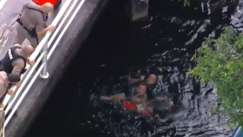 Miami Dade Co Canal Escape (fl)