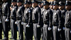 Dreamstime Xxl 7034441 643e935639a35 Dreamstime Xxl 7034441 643e935639a35