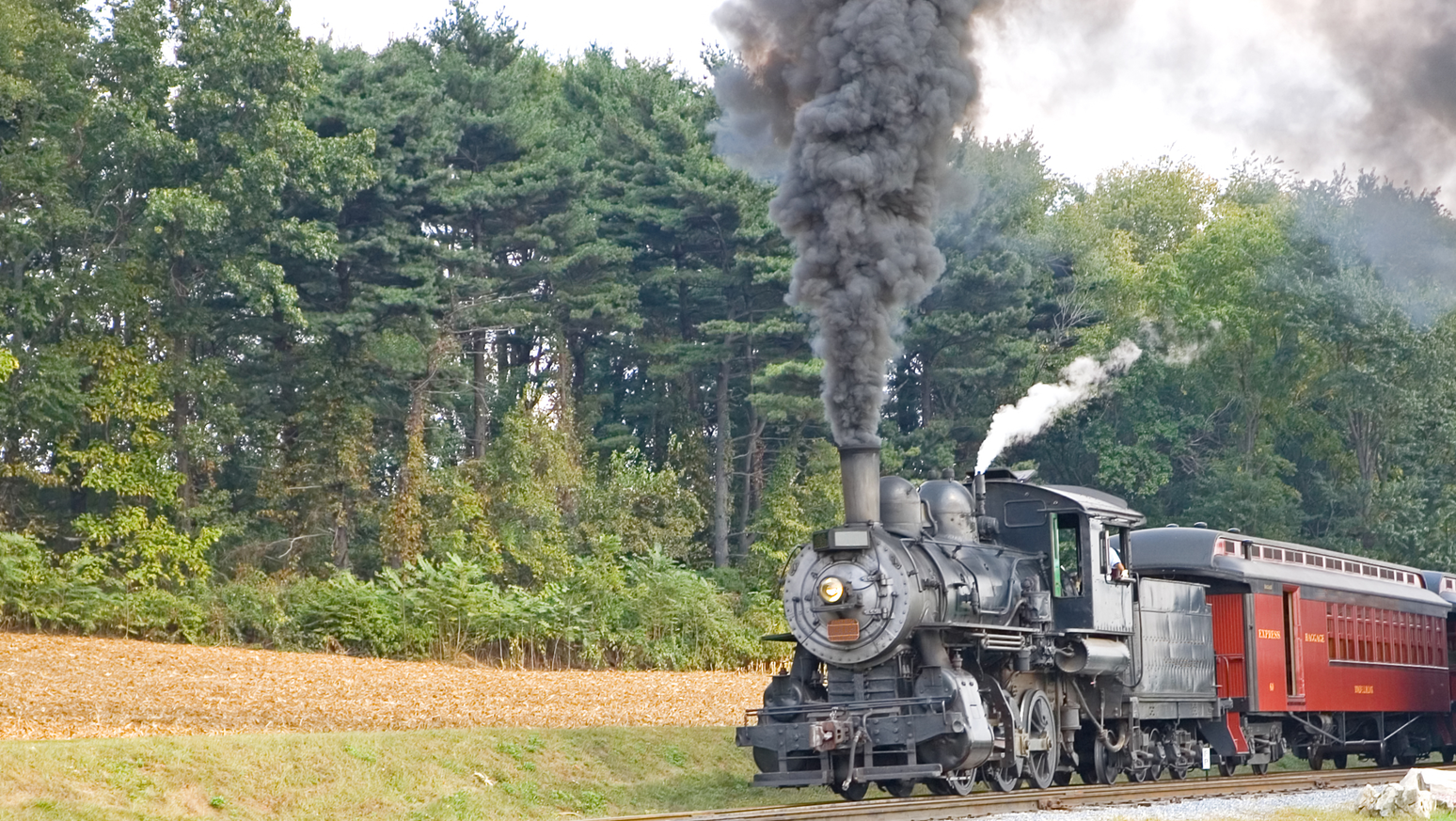 Dreamstime Xxl 3379265 646534998844b