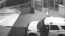 Denver Ambush Shooting (co)
