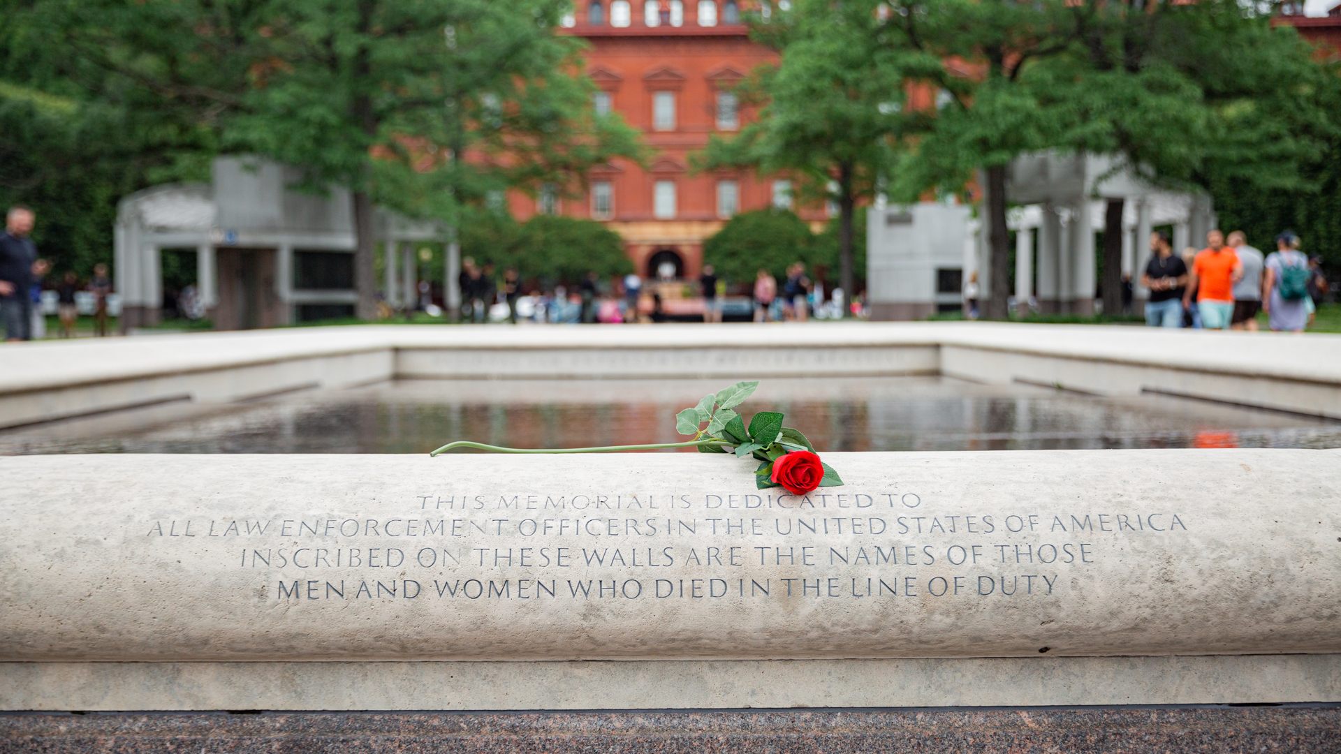 52927238168 Fb61d46d85 O