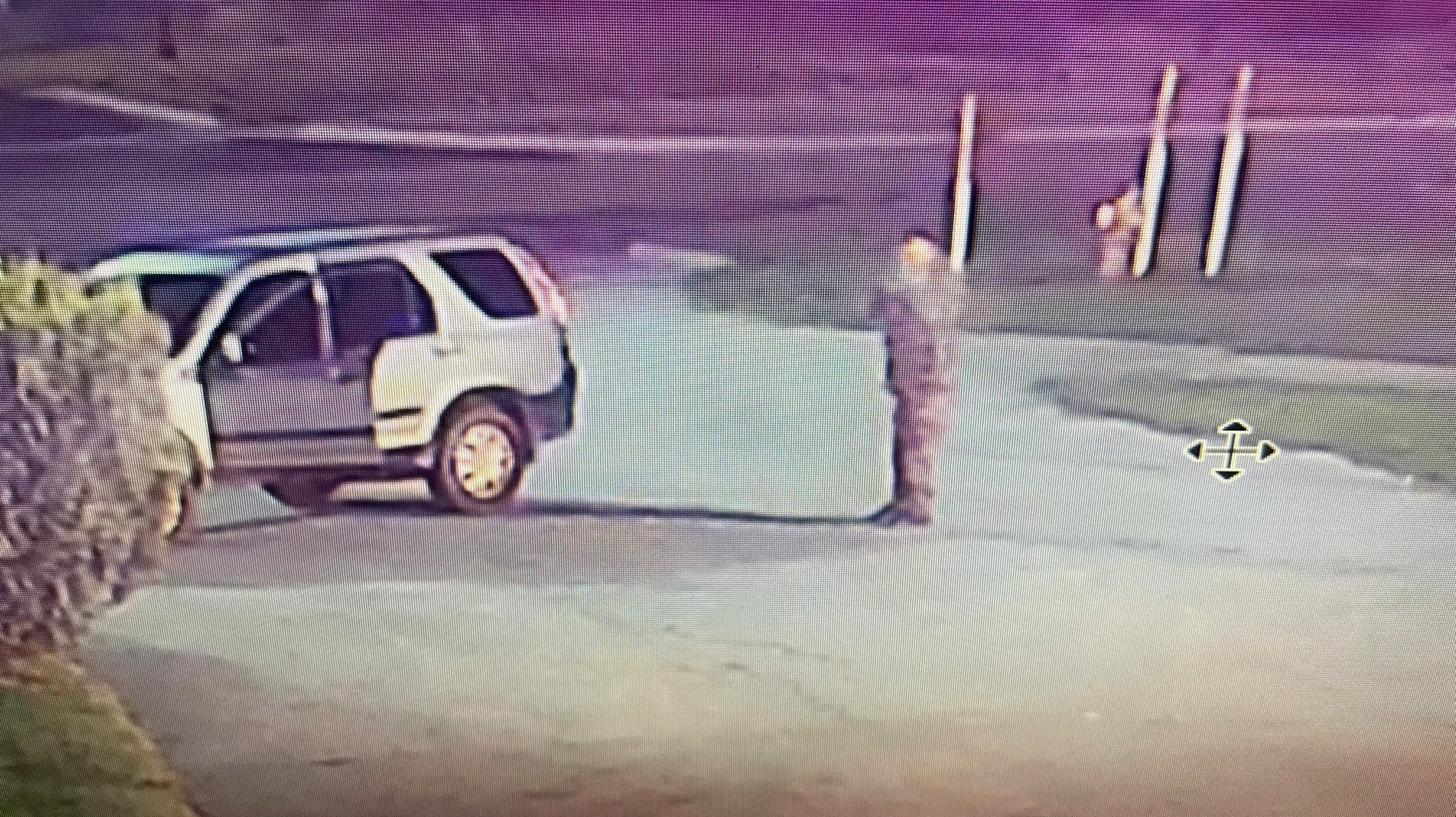 Mich. State Police Cruisers Set on Fire, Struck by Rifle Rounds - Vimarsana News