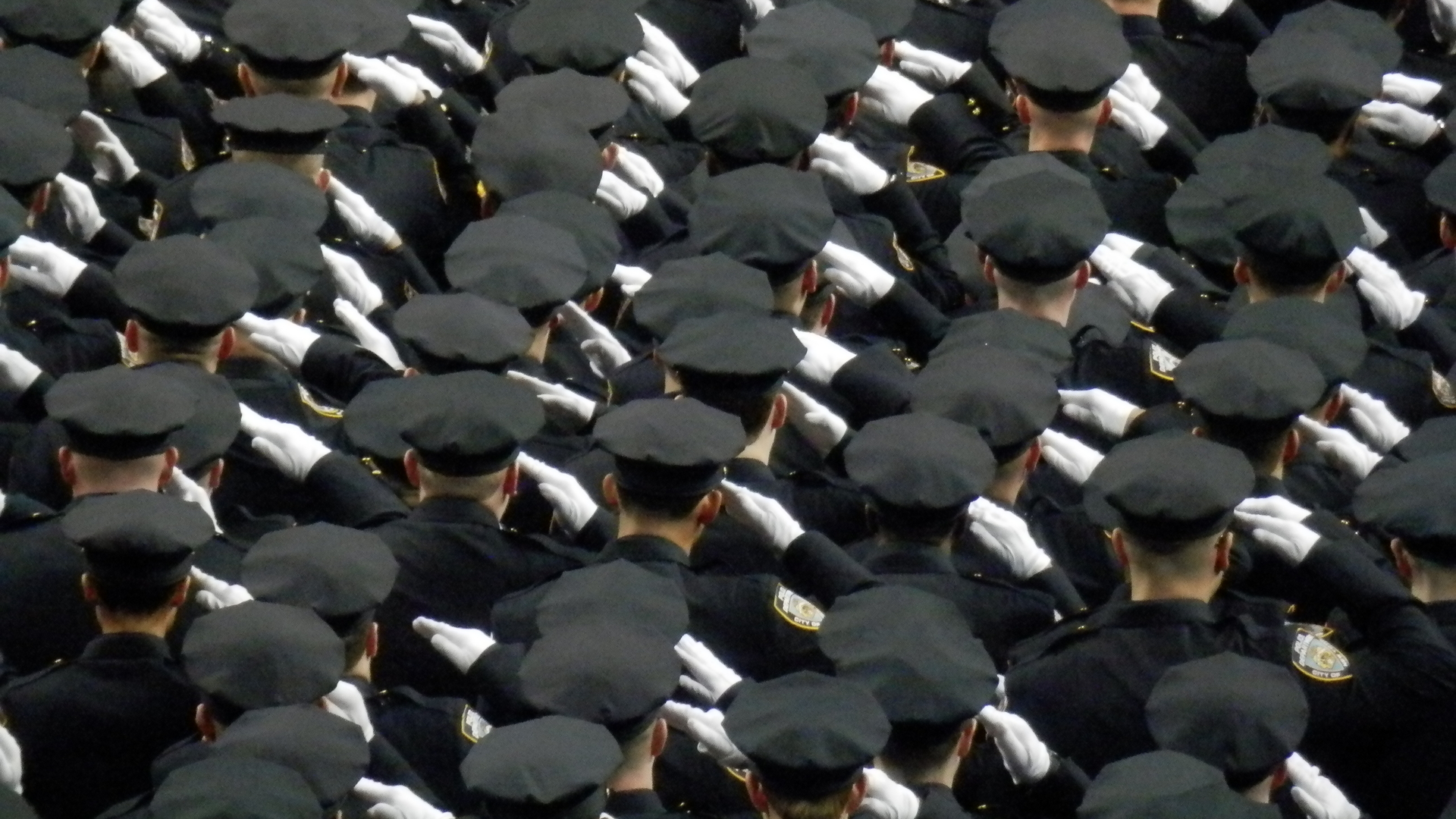 The NYPD's 2012 academy graduation.