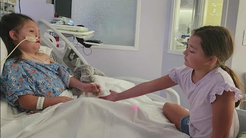 Community Helps Texas Police Chief's Daughter in Need of Seizure Dog