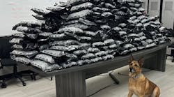 Rocco, a K-9 who has been with the Blue Island, IL, Police Department for only three months, helped seize nearly 500 pounds of marijuana in a massive drug bust last week
