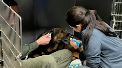 Weatherford Police K-9 Jack is recovering after being shot by a suspect during a confrontation.