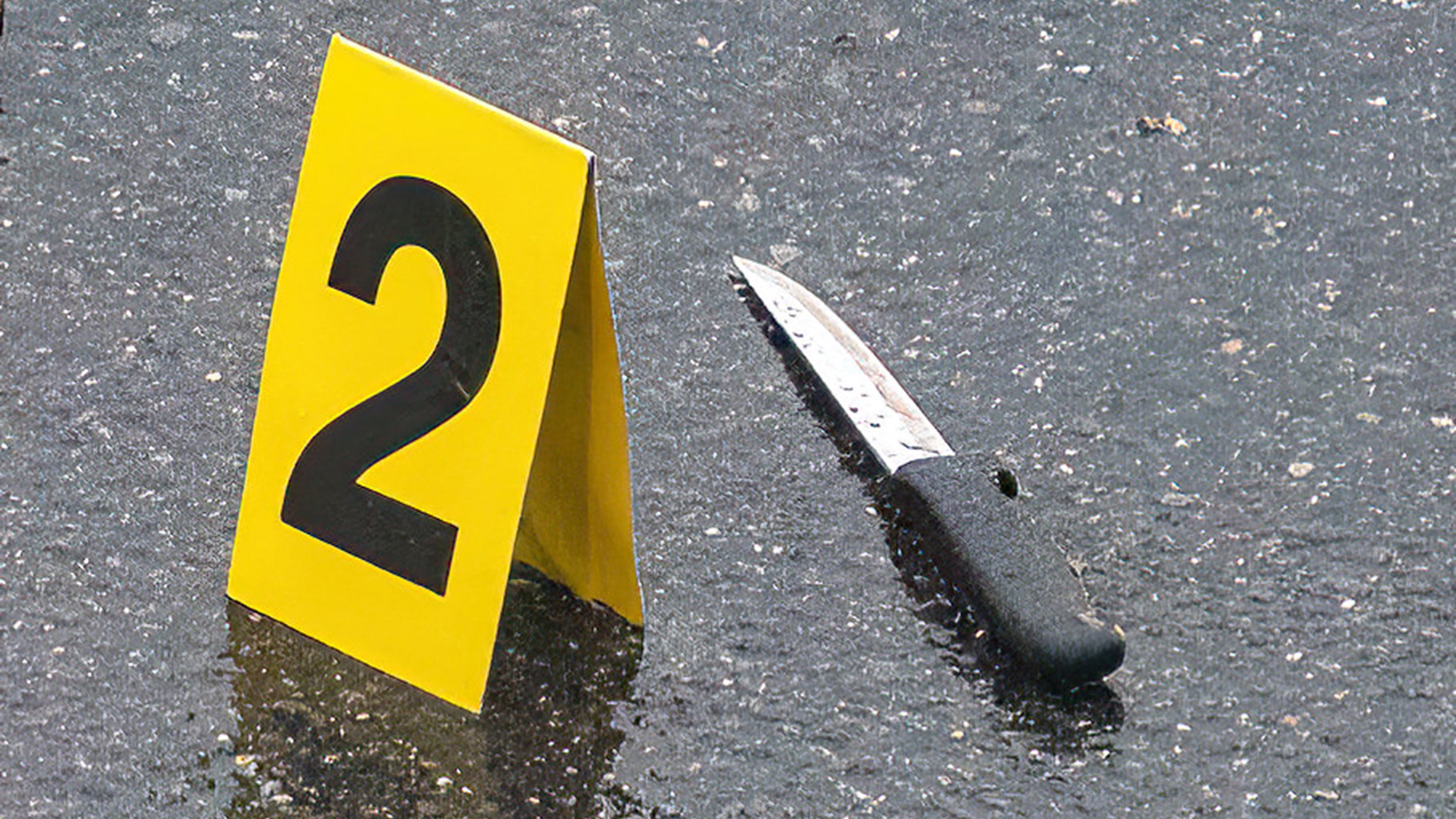 Attacker who Fatally Stabbed 4 Stopped by NYPD Outside Burning Home - Vimarsana News