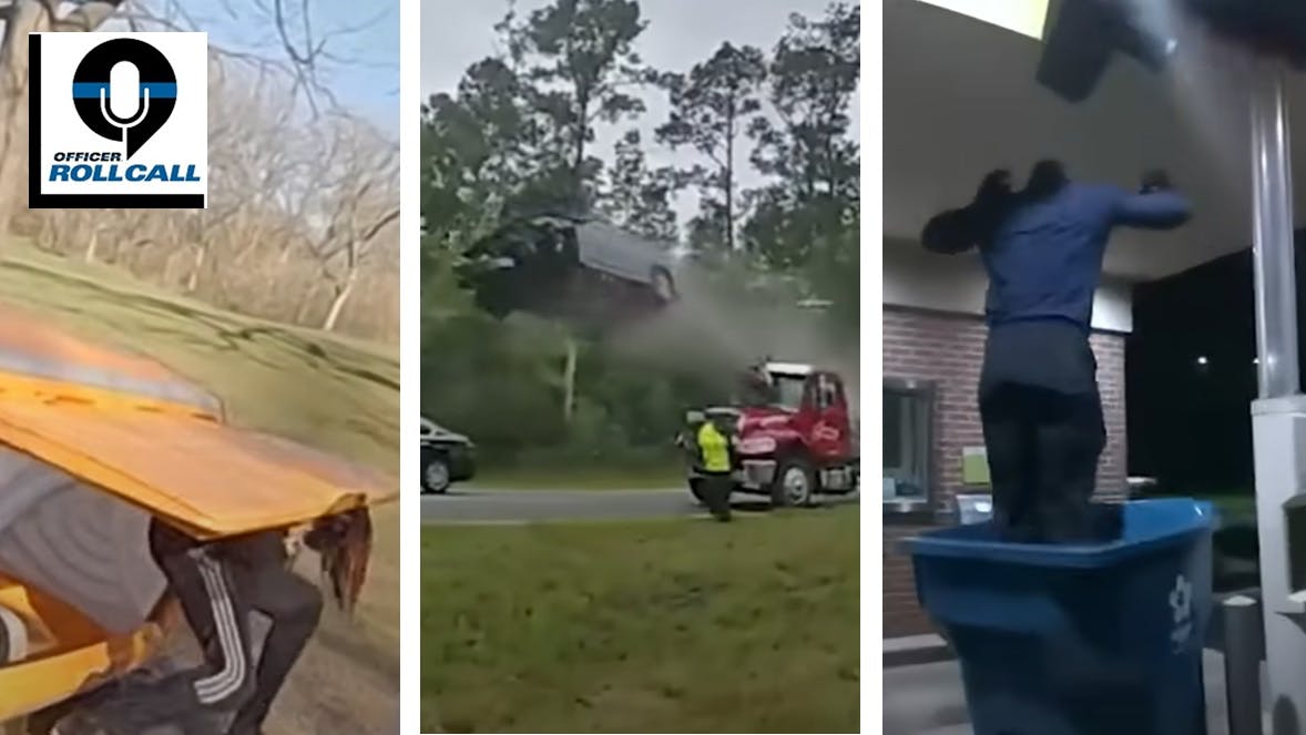 Three of the dumb and unfortunate criminals we spotlight (from left): Following a chase, Glendale, WI, police arrest a suspect trapped in a golf course port-a-potty. A driver speeds and jumps over a tow truck during a separate traffic incident in Lowndes County, GA. A would-be bank burglar falls out of a ceiling and into a recycling bin in front of Huron, OH, police.