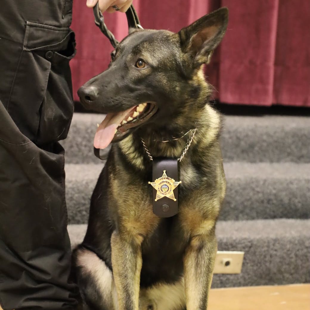 Pot Legalization May Mean Early Retirement for Some Ohio Police K-9s - Vimarsana News
