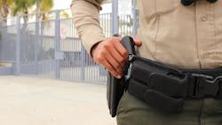 6596bc634f0a86001eedb1f1 Dreamstime L 128952605 6596bc634f0a86001eedb1f1 Dreamstime L 128952605