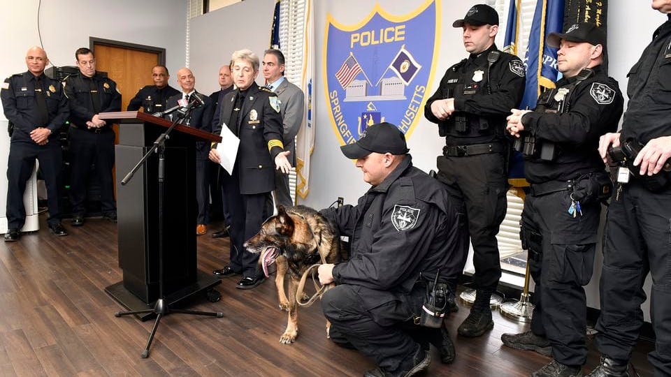 Proposed Massachusetts Law Would Help Cover Veterinary Costs for Retired K-9s - Vimarsana News