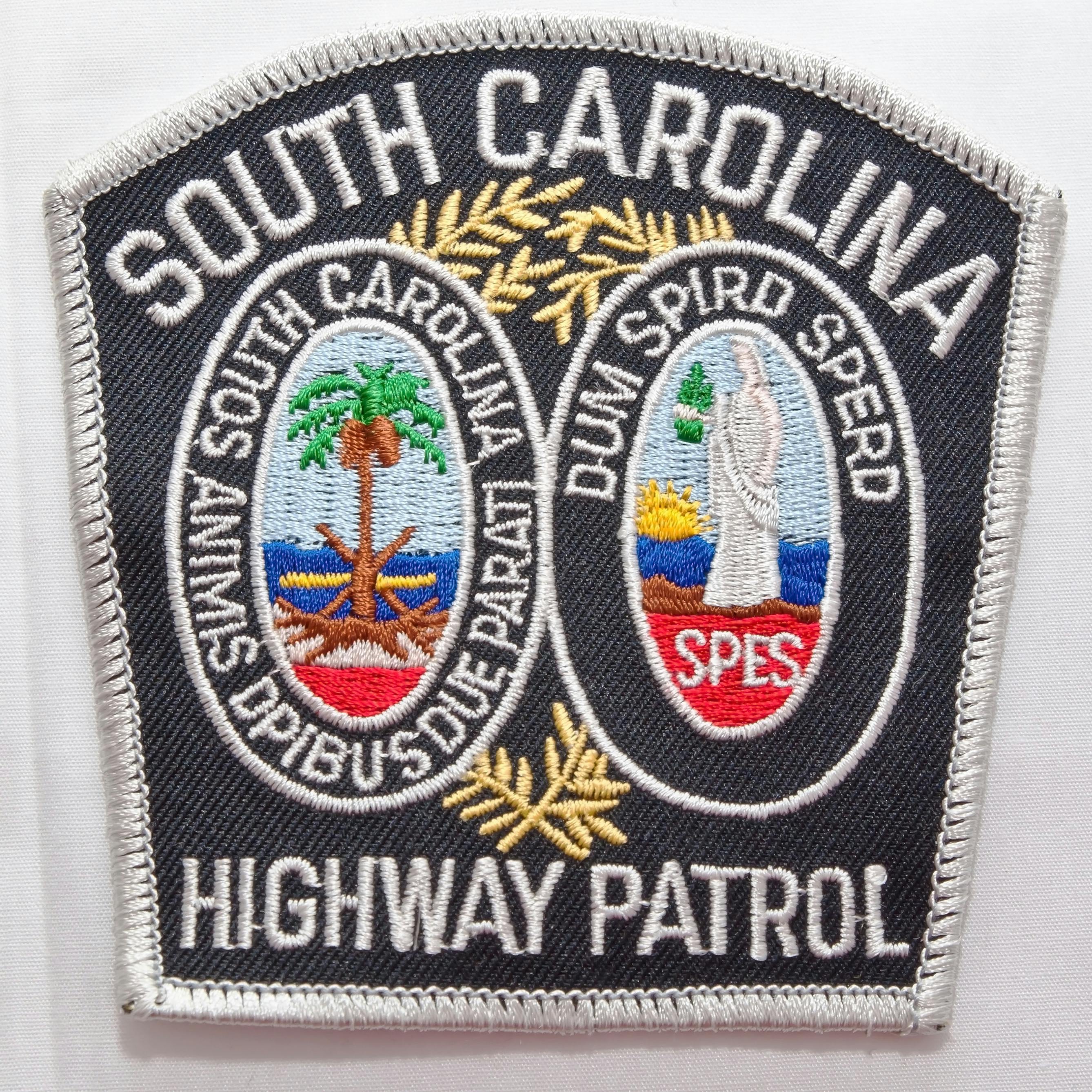 S.C. Highway Patrol Switches from Dodge Charger Cruisers to F-150 Trucks - Vimarsana News