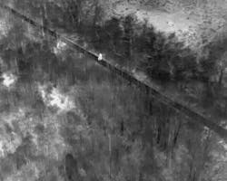 Father and son walking in the woods. Photo taken from 300'+ altitude. Father and son walking in the woods. Photo taken from 300'+ altitude.