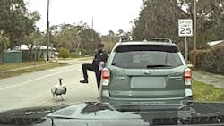 A St. Johns County, FL, sheriff&apos;s deputy was attacked by an &ldquo;irritated&rdquo; turkey during a Feb. 29 traffic stop in Vernon Heights.