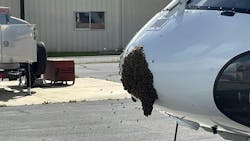 Bees swarm on the nose of a California Highway Patrol helicopter, a situation “not conducive to operations,” pilot Shayne Dickson said. A beekeeper was called in to relocate the bees. Bees swarm on the nose of a California Highway Patrol helicopter, a situation “not conducive to operations,” pilot Shayne Dickson said. A beekeeper was called in to relocate the bees.