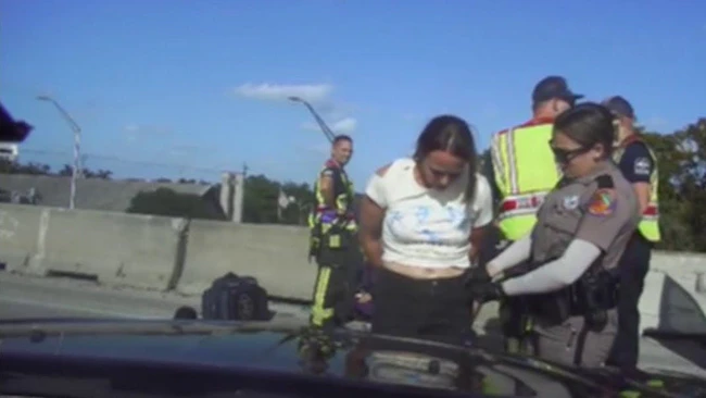 Newly released video shows police takedown dangerous driver on I-95