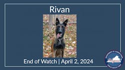Rivan, a K-9 at Sussex I State Prison.