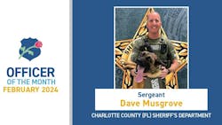 661d8847ee4639001e502362 Davemusgrove 661d8847ee4639001e502362 Davemusgrove