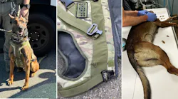 Los Angeles Sheriff's Department Special Enforcement Bureau K-9 Kjeld was saved by its ballistic vest after being shot and wounded by a suspect the night of April 17.
