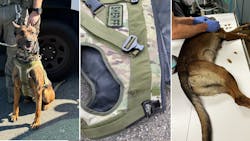 Los Angeles Sheriff's Department Special Enforcement Bureau K-9 Kjeld was saved by its ballistic vest after being shot and wounded by a suspect the night of April 17. Los Angeles Sheriff's Department Special Enforcement Bureau K-9 Kjeld was saved by its ballistic vest after being shot and wounded by a suspect the night of April 17.