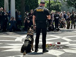 6660d45105572c02c31c2dc3 Img 9253 6660d45105572c02c31c2dc3 Img 9253