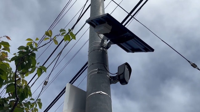 The San Francisco Police Department has roughly 100 Flock cameras around the city, and another 300 are expected to be installed by July.