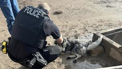 Delta, CO, police officers secured a line and hoisted a dog out of a 15-foot water drain Sunday during a flood warning in the area after the dog became trapped in the drain for several days.
