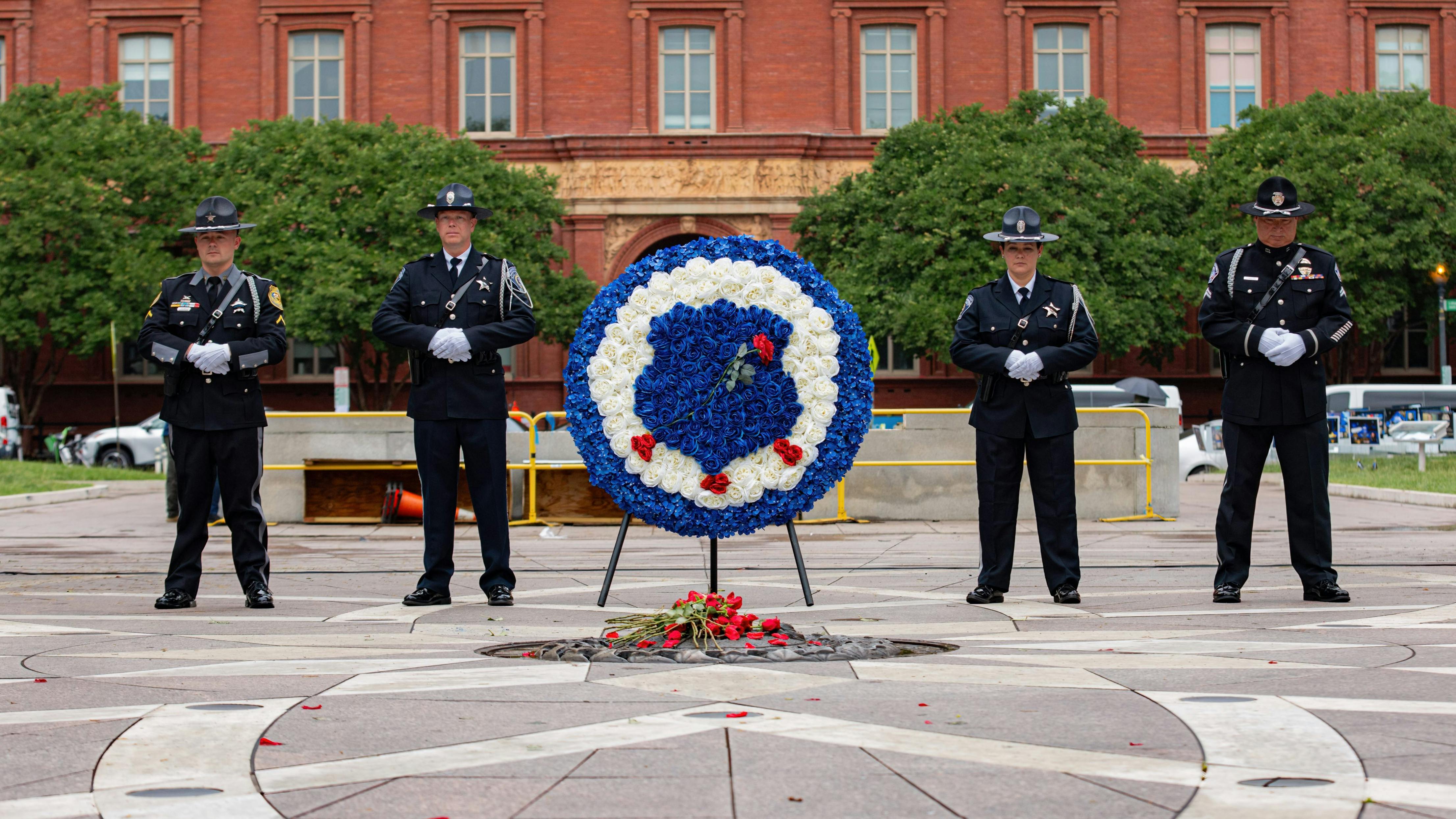 53756544139_574e177bec_o