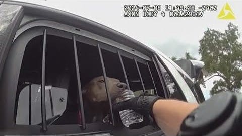 Florida Police Officer Saves Dog Locked in a Hot Car | Officer