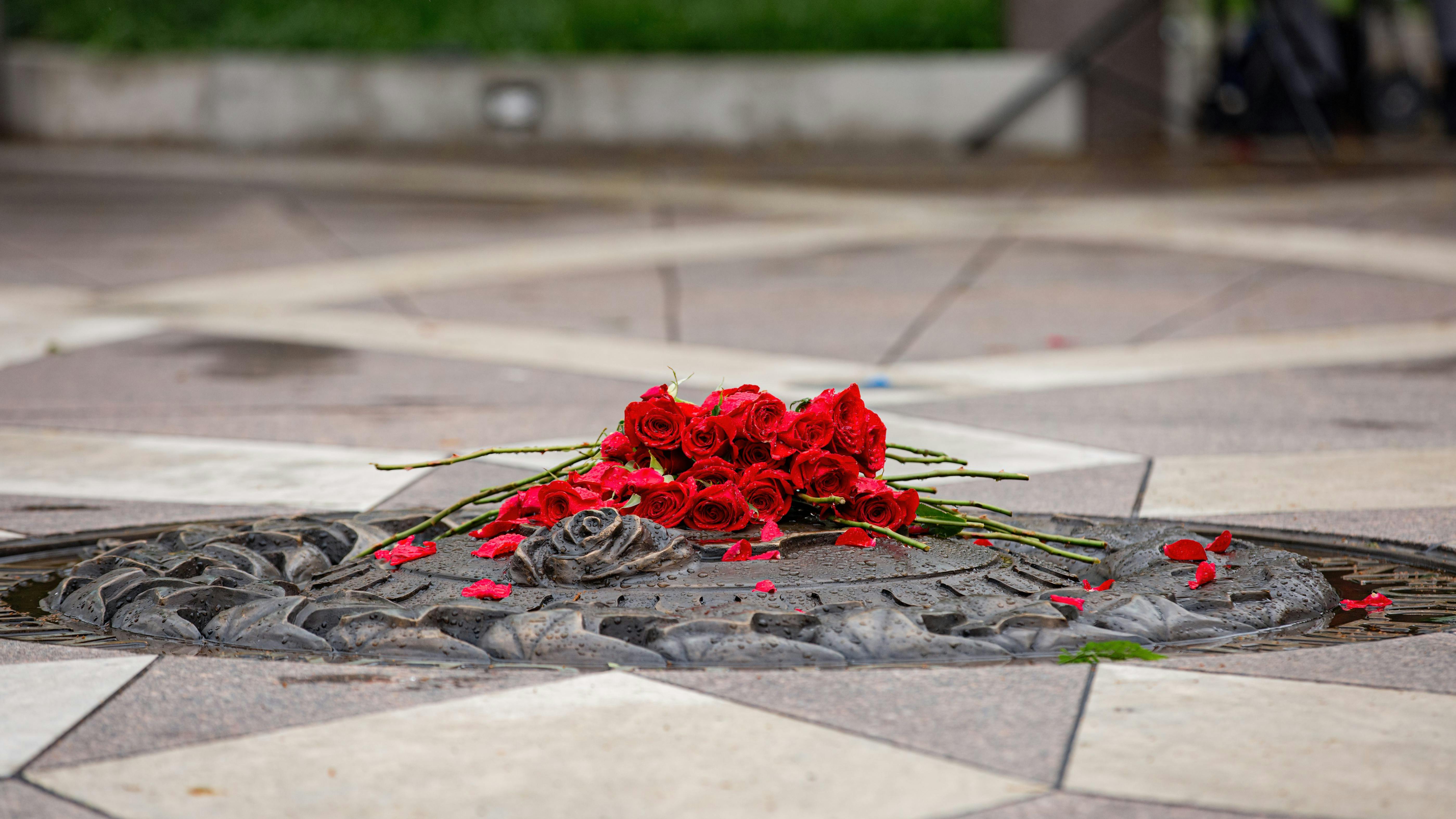 6696adfaea9e4a65720c609b 53755313562 3b6e74067c O