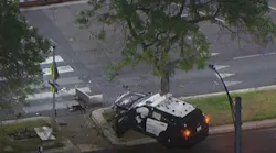 Stolen police cruiser crashes into tree in Glendale