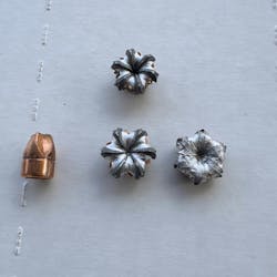 Lindsey fired three 380 cartridges into ballistic gelatin: Winchester Defender 95 grain (far right), SIG Sauer 90 grain V-Crown (center, top and bottom), and Black Hills Ammunition 60 grain Honey Badger (left). Both the SIG Sauer and Winchester bullets came to rest just shy of 10”. Both of them had 140% expansion, and the evidence of the wound channel points toward rapid expansion. The Honey Badger is a monolithic solid, and it was not designed to expand. It went the furthest in the ballistic gelatin, and the wound channel disruption was dramatic. Lindsey fired three 380 cartridges into ballistic gelatin: Winchester Defender 95 grain (far right), SIG Sauer 90 grain V-Crown (center, top and bottom), and Black Hills Ammunition 60 grain Honey Badger (left). Both the SIG Sauer and Winchester bullets came to rest just shy of 10”. Both of them had 140% expansion, and the evidence of the wound channel points toward rapid expansion. The Honey Badger is a monolithic solid, and it was not designed to expand. It went the furthest in the ballistic gelatin, and the wound channel disruption was dramatic.