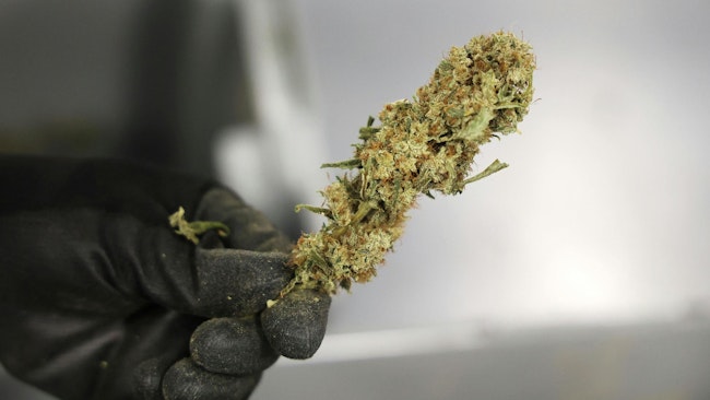 Recreational marijuana in Florida could be legalized in November if Amendment 3 passes.