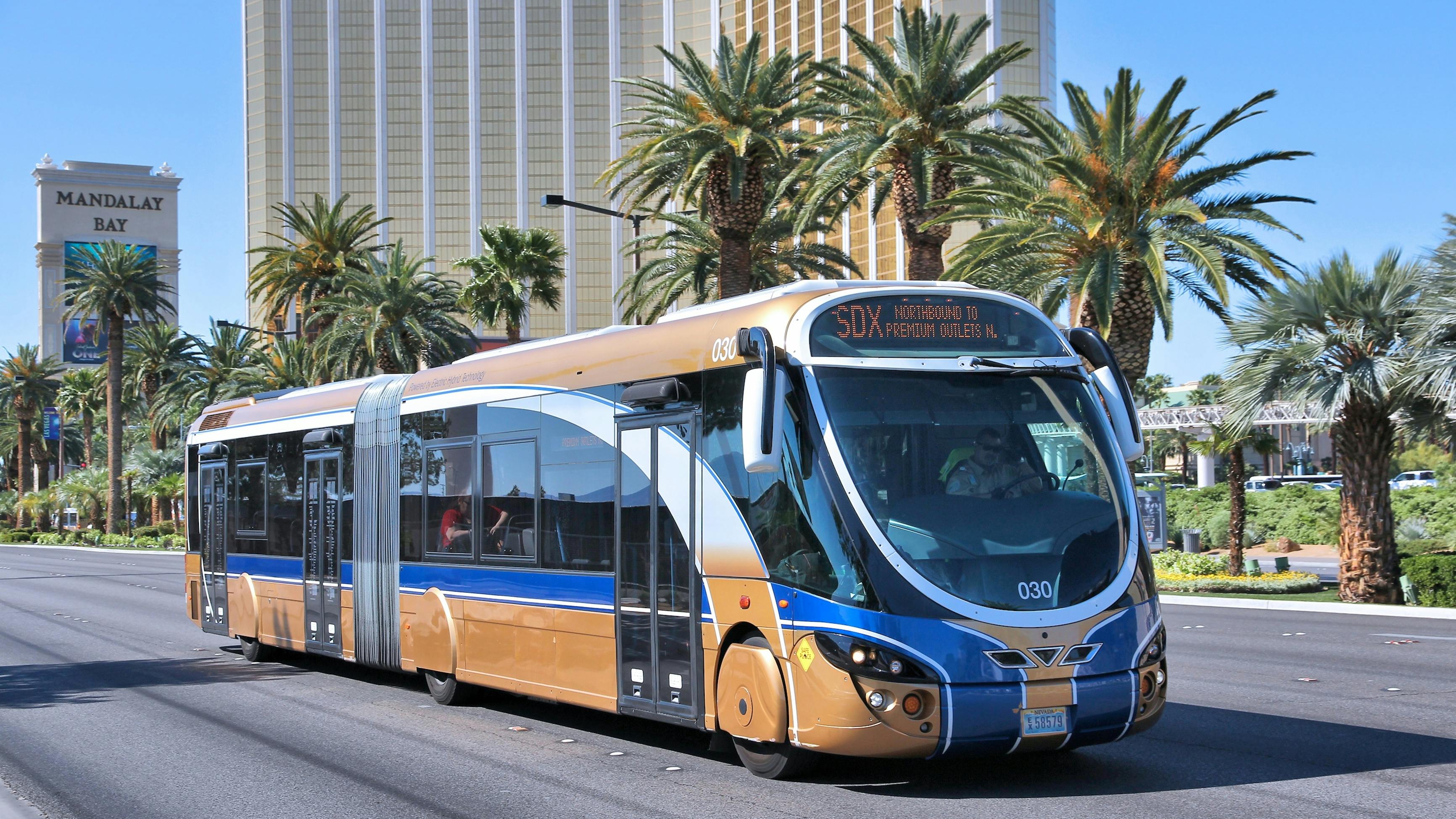 dreamstime_xl_54042583