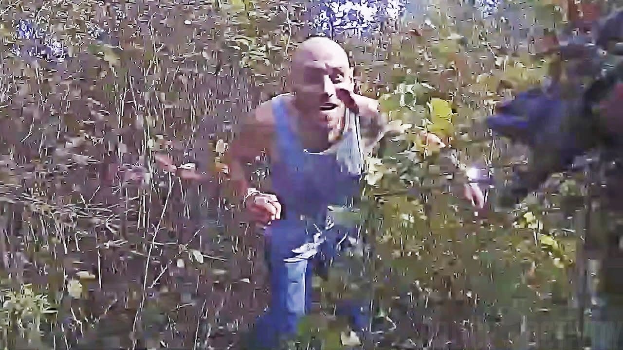 Watch Wis. Police Track Limo Driver Through Woods after Chase, Crash ...