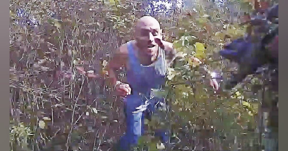 Watch Wis. Police Track Limo Driver Through Woods after Chase, Crash ...