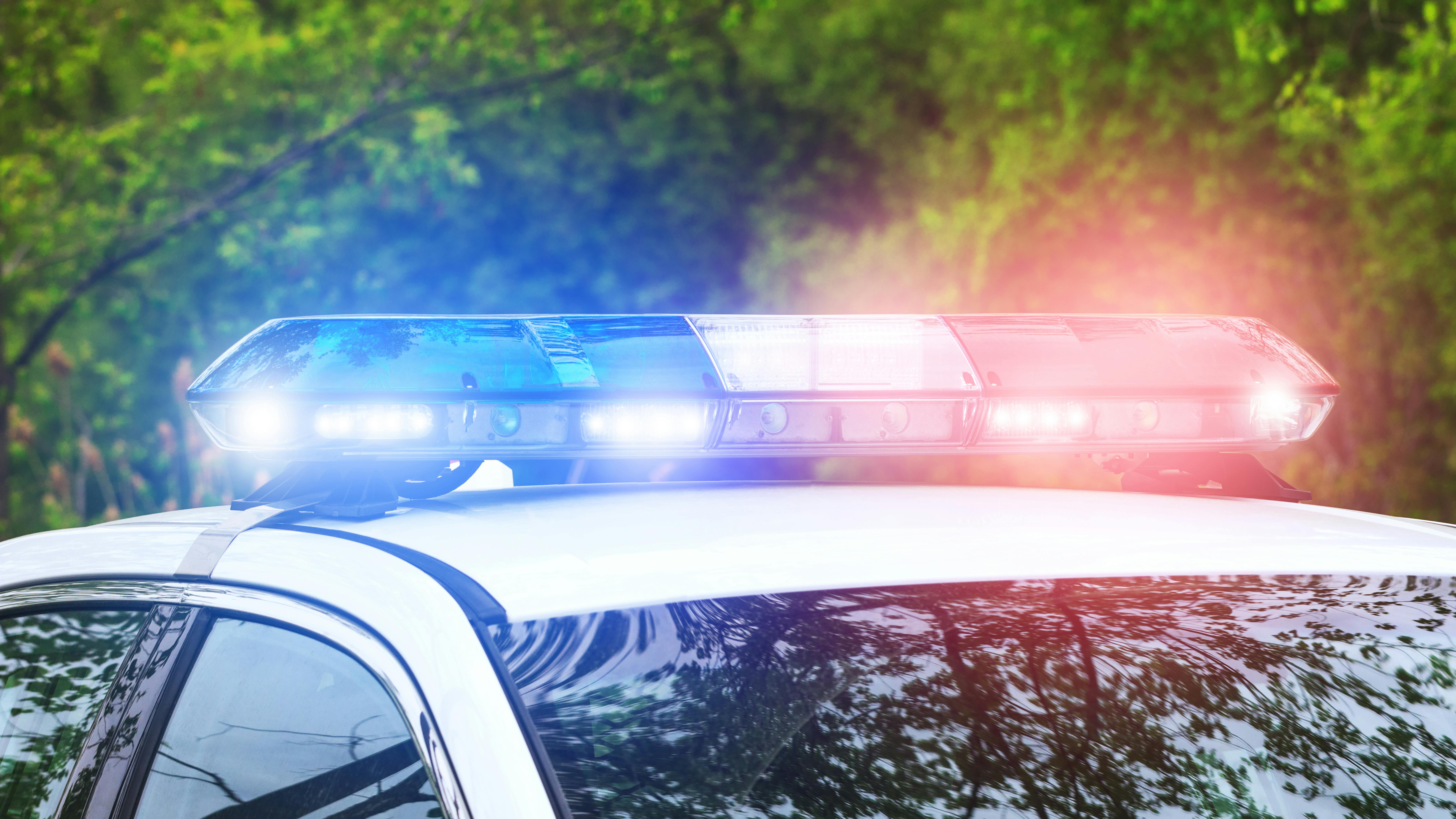 66eda347fd886c102c307126 Police Lights Red Blue Day Dt