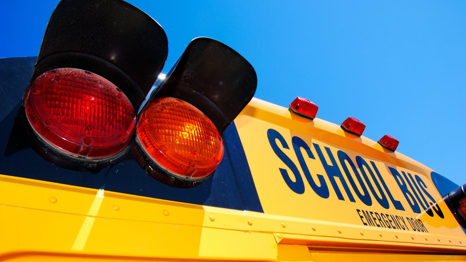66edb59d2c347b42d57589e3 School Bus Lights Mo Tns