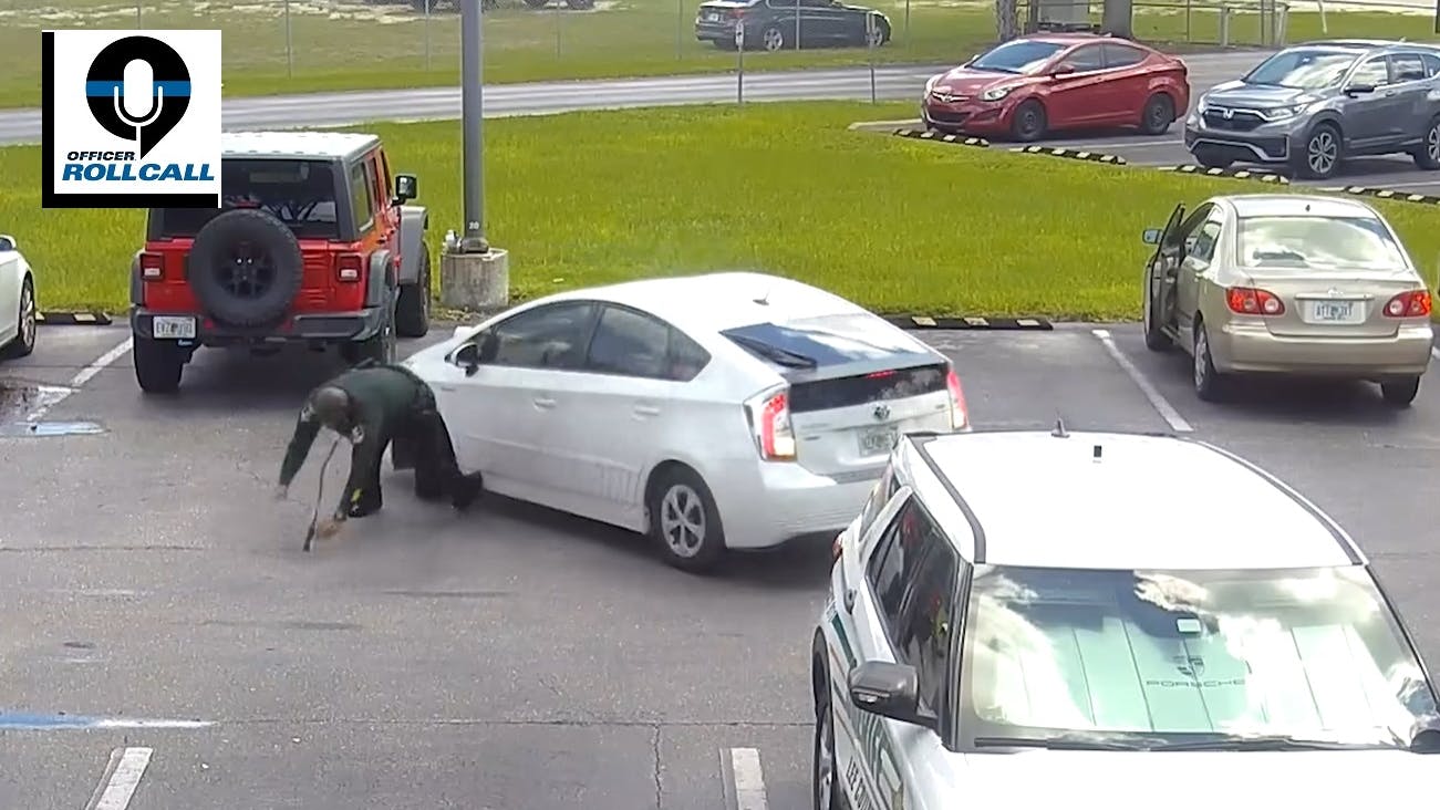 66f6ebaf141172b759d58417 The Lineup Lee Co