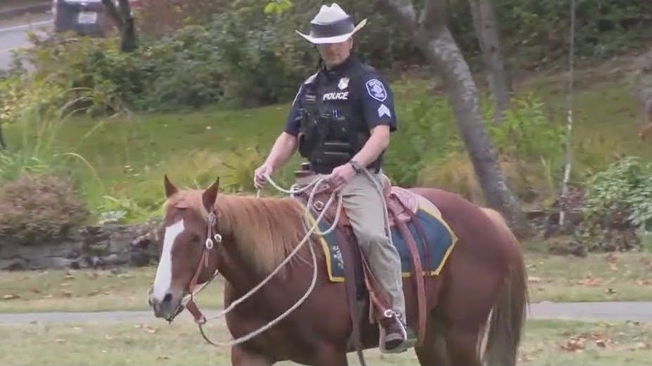 Seattle Police ends mounted patrol unit | FOX 13 Seattle