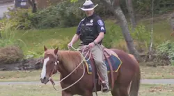 Seattle Police ends mounted patrol unit | FOX 13 Seattle