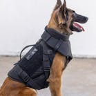 PROJECT7 is proud to announce the latest innovation in tactical K9 armor: the P7K9 Vest. PROJECT7 is proud to announce the latest innovation in tactical K9 armor: the P7K9 Vest.
