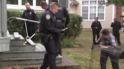 Endangered cat found after Hoffman Estates police search