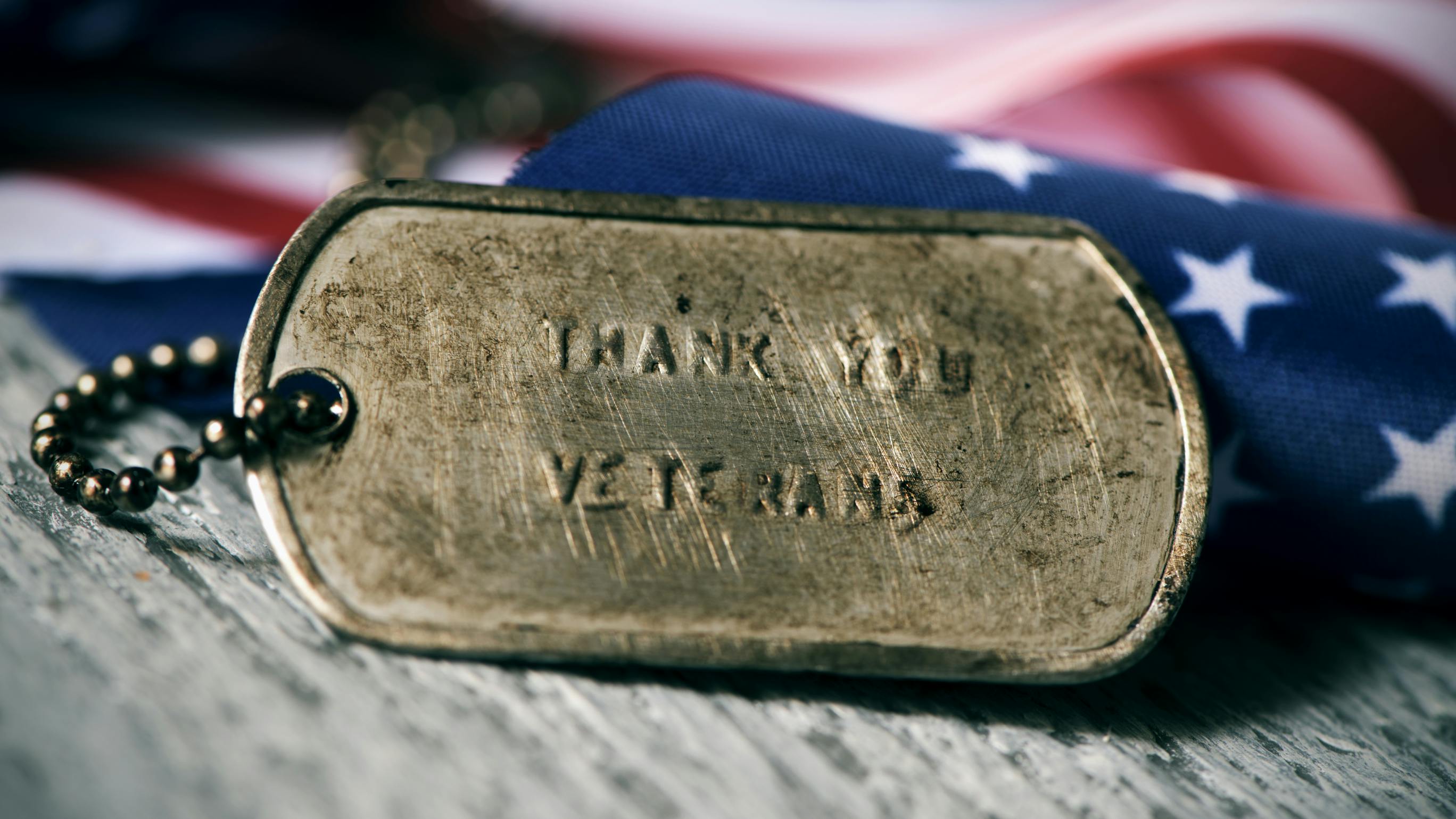 67322b50569261cd6bec53d7 Veterans Day Dog Tag Dt