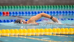 wpfg_2023_73020238871 wpfg_2023_73020238871