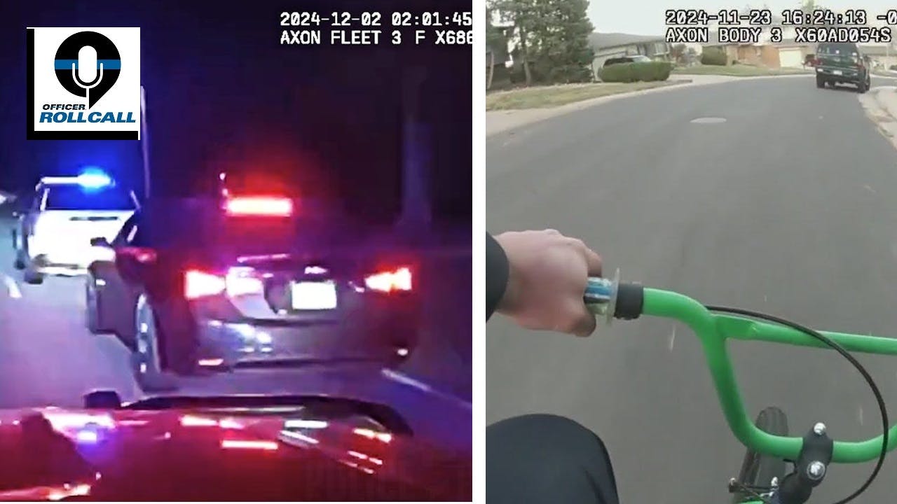 67534bd227fd69b492ba38a8 The Lineup Creative Rescues